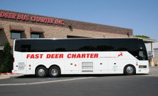 fast deer bus