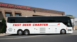 fast deer bus