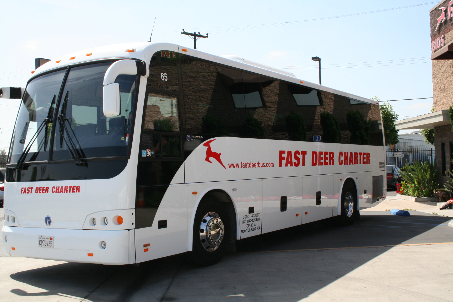 "NEW" Temsa TS35 Added To Fleet Fast Deer Bus